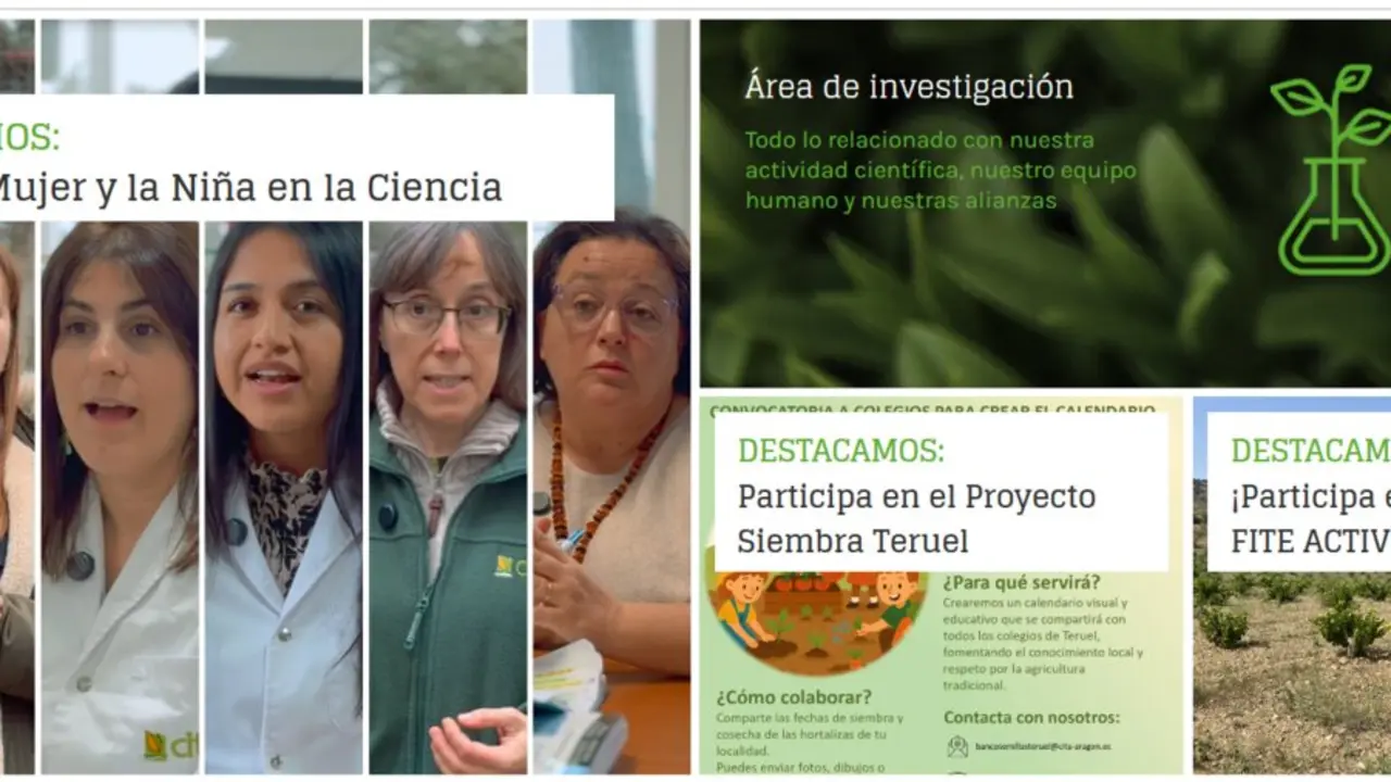20260225 CITA ARAGON