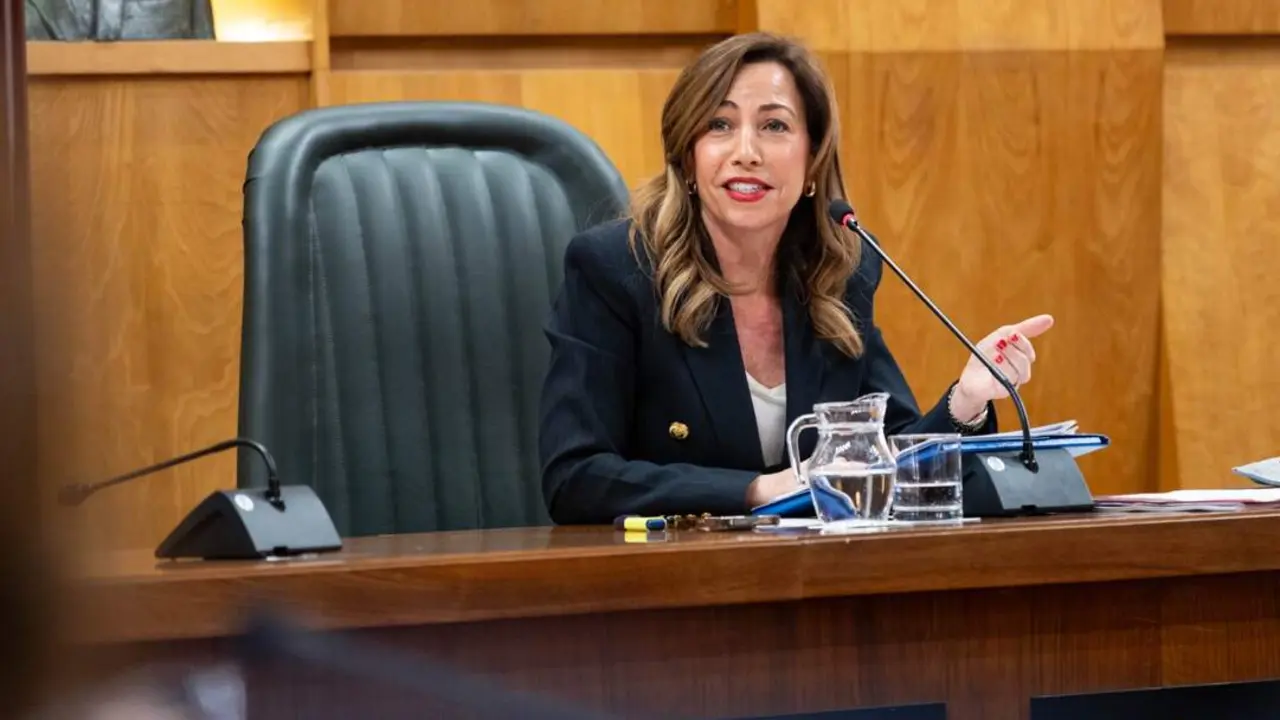 20260226 Zaragoza aprobado presuspuesto 2026