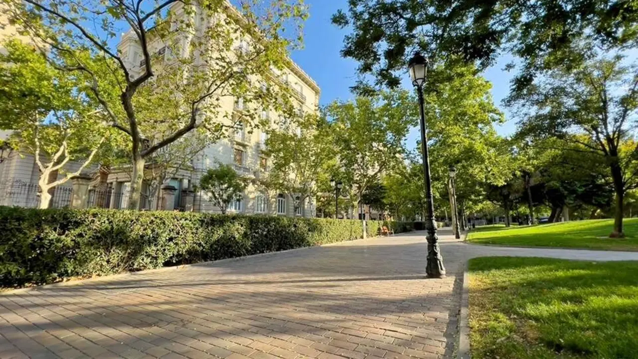 20260303 Plaza Los Sitios arbolado