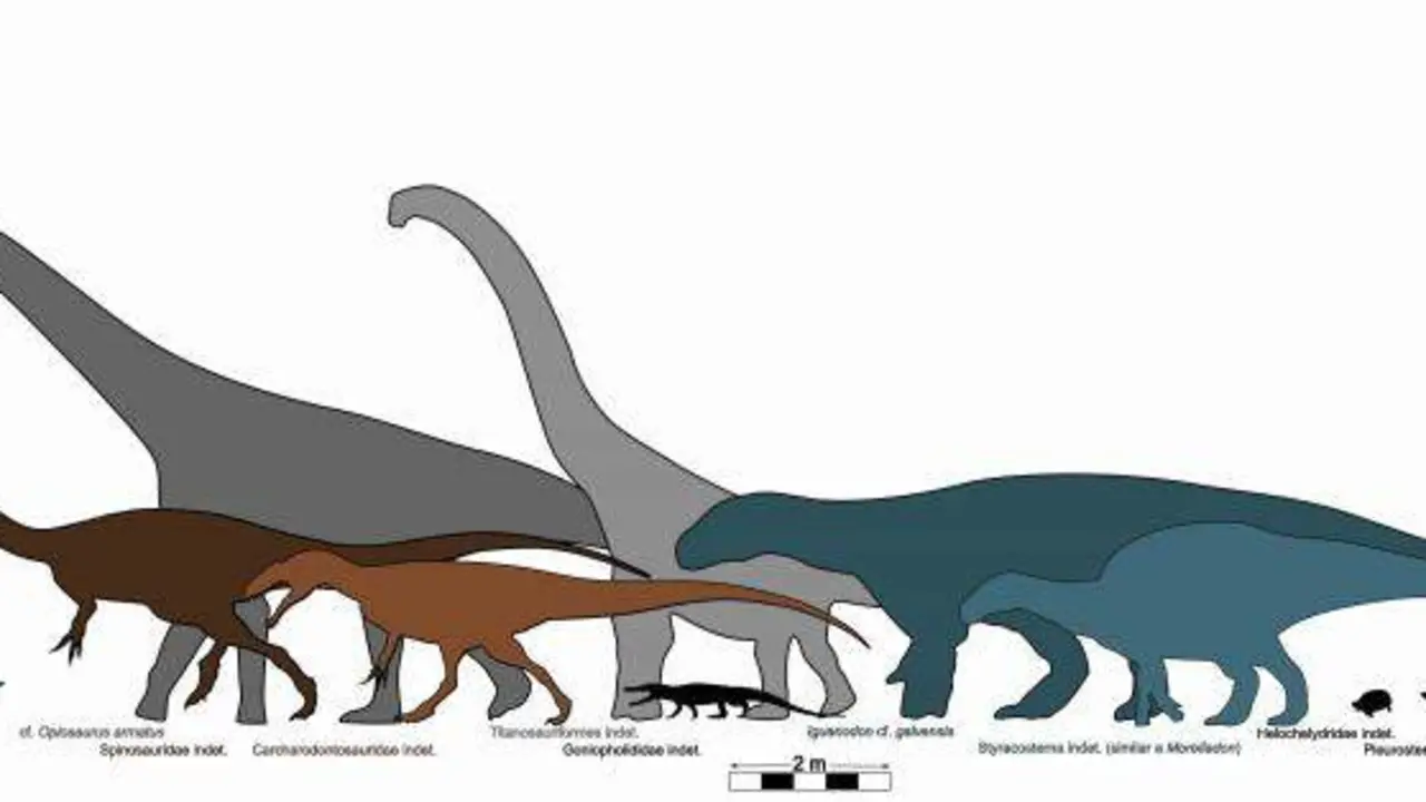 20260318 estudio Teruel vertebrados fosiles