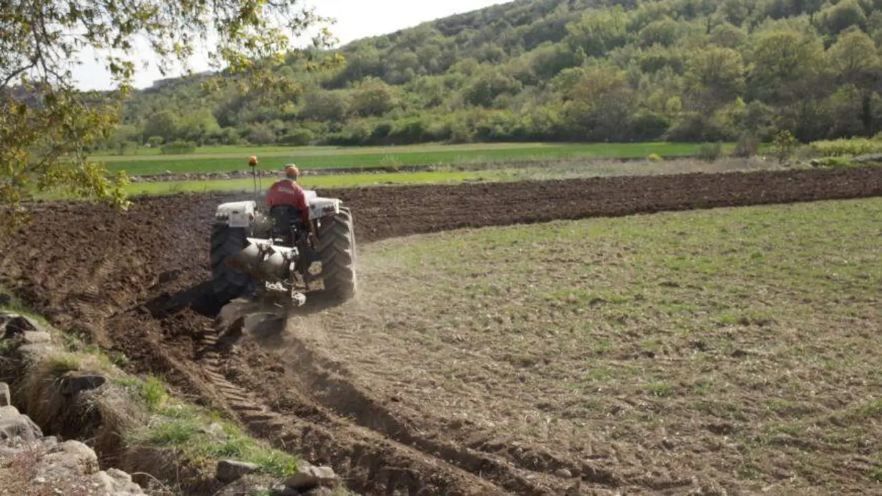 20260325 Agricultura jovenes ayudas