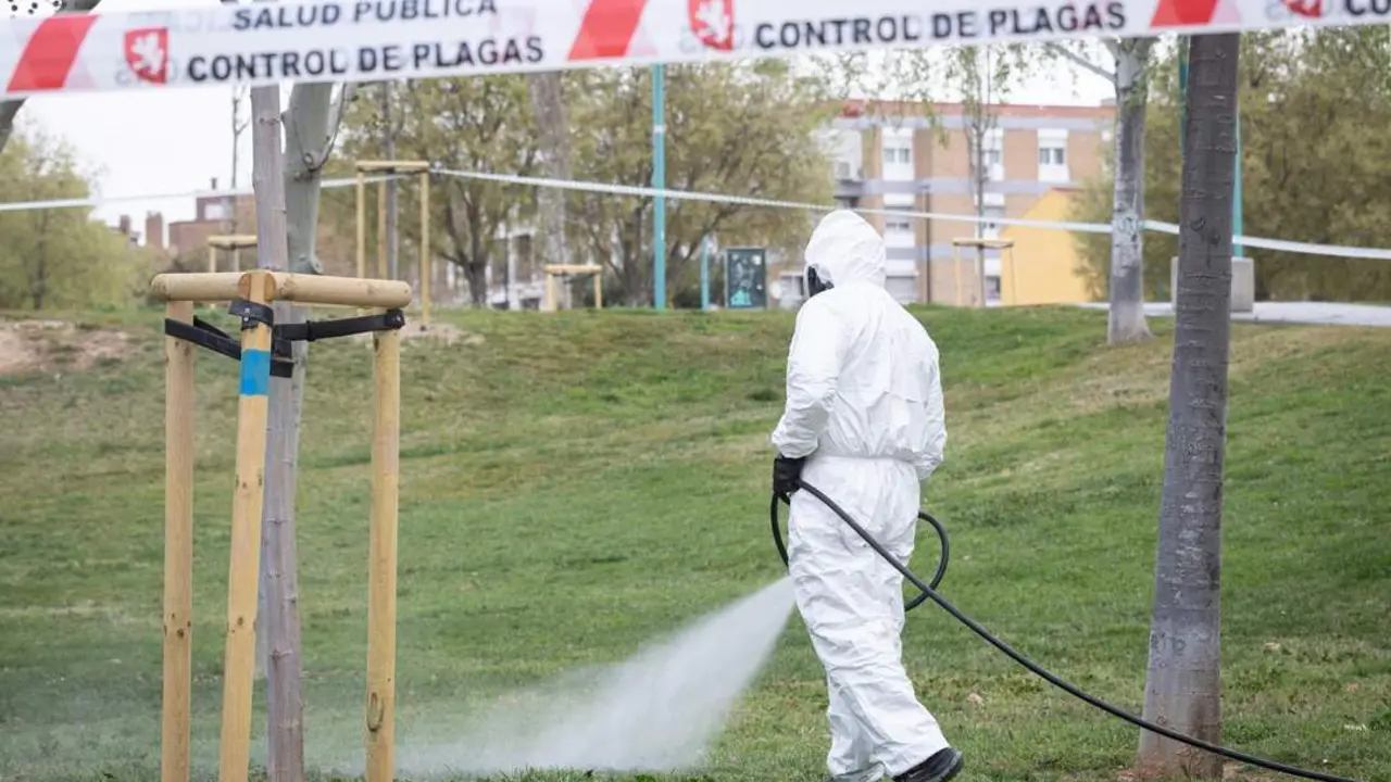 20260331 Zaragoz acontrol plagas