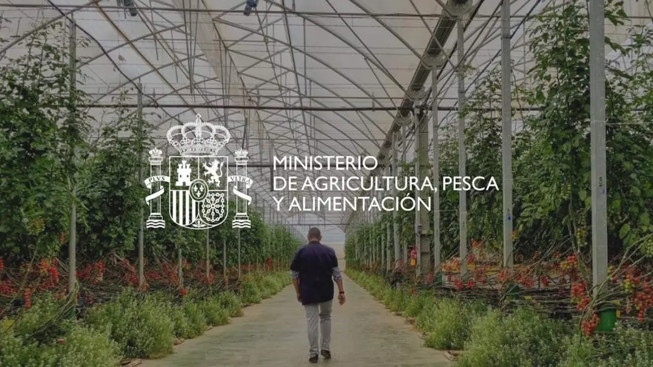 20260407 Cartela Ministerio Agricultura Pesca Alimentaci&oacute;n