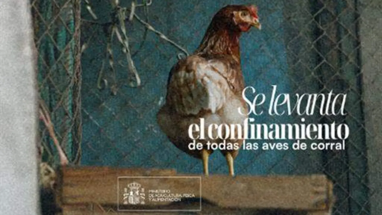 20260416 Nacional-fin-confinamiento-aves-corral