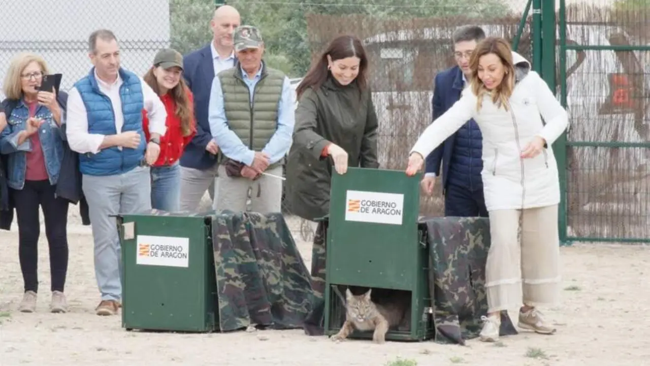 20260429 Lives Ibericos Worbi Waka Aragon