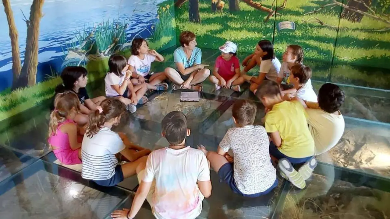 20260518 campus verano Alfranca