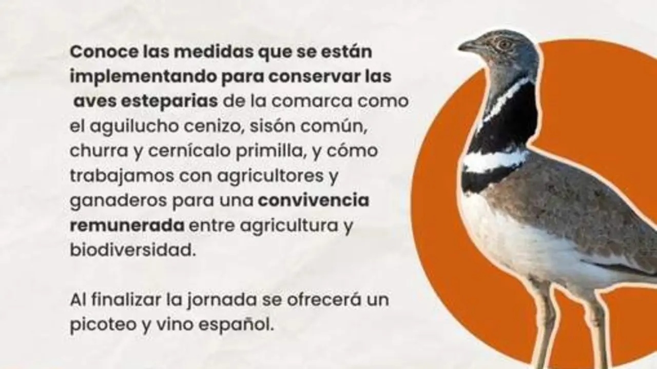 20260525 Ba&ntilde;on agricultura aves esteparias