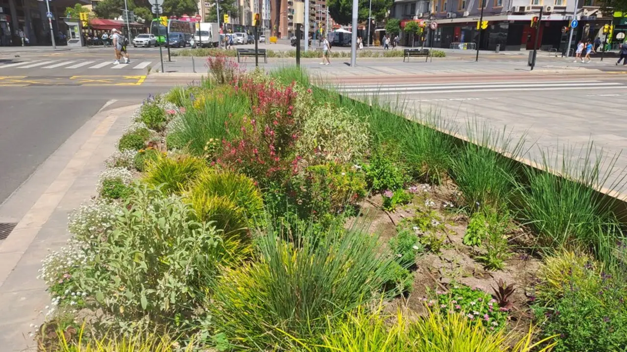 20260526 Zaragoza parterres floridos barrios