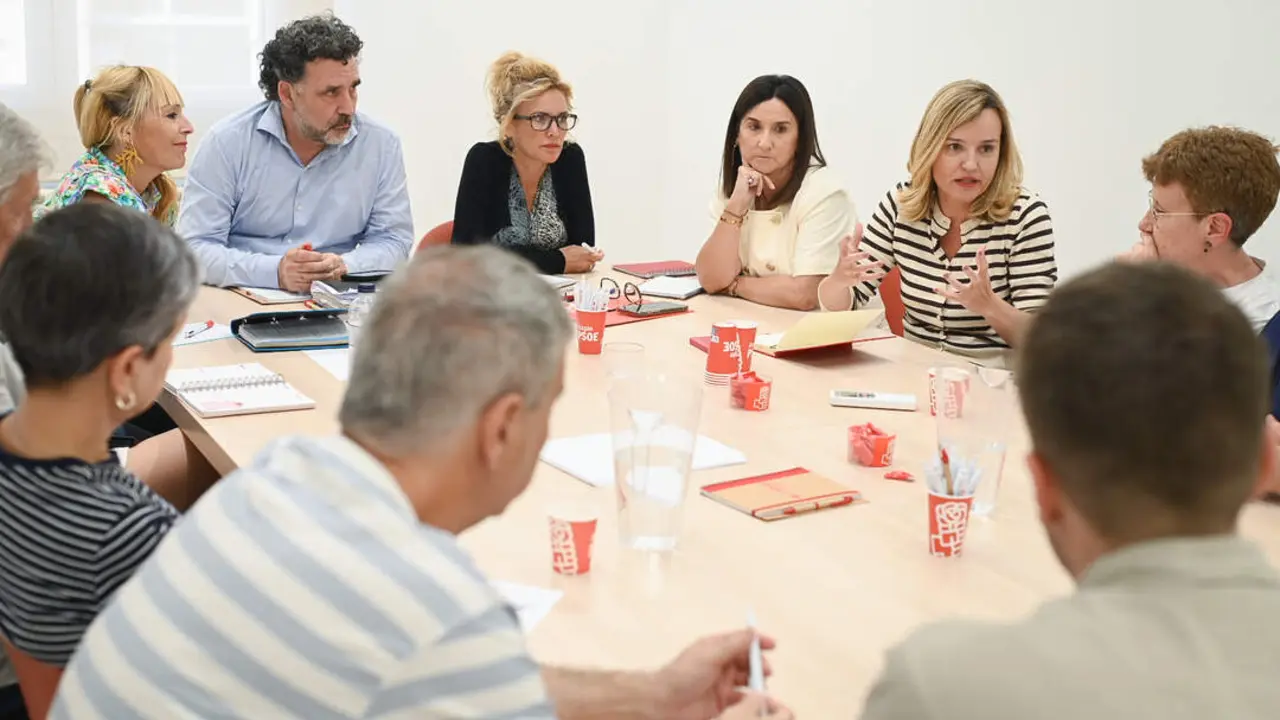 20260610 PSOE REuni&oacute;n Pilar Alegr&iacute;a entidades sociales