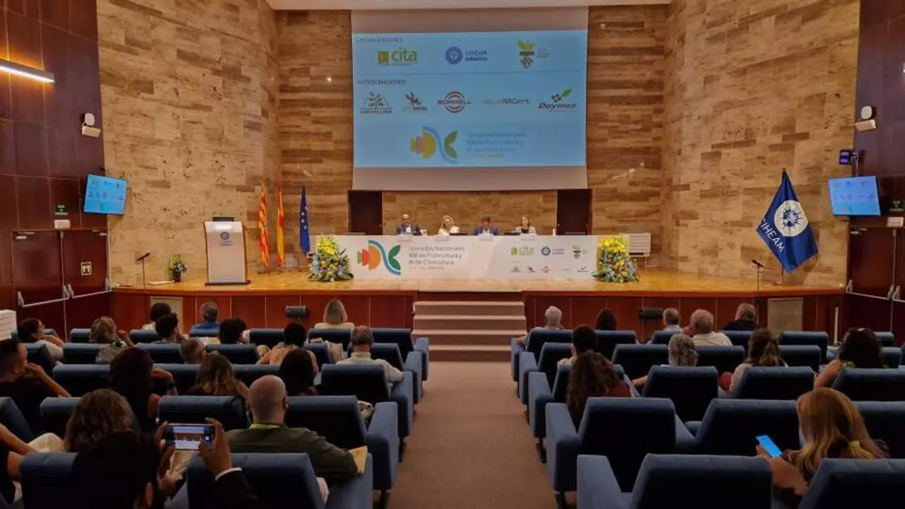 20260616 jornadas fruticultura CITA