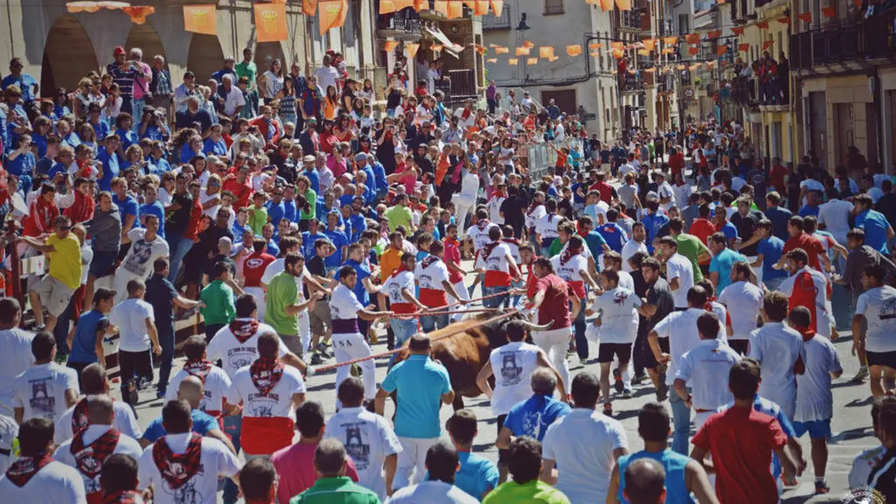 20260618 fiesta del toro de sogas Pina de Ebro