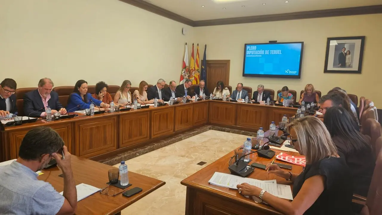 20260624 DPT Foto del pleno