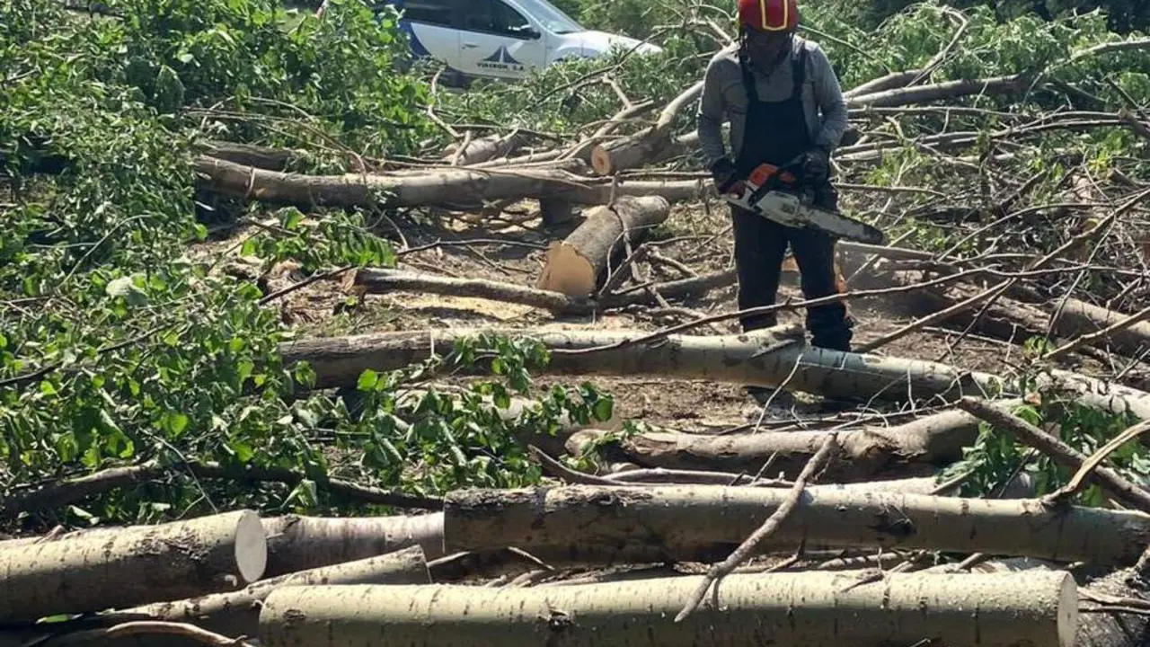 20260712 Cerler obras depuradora de agua